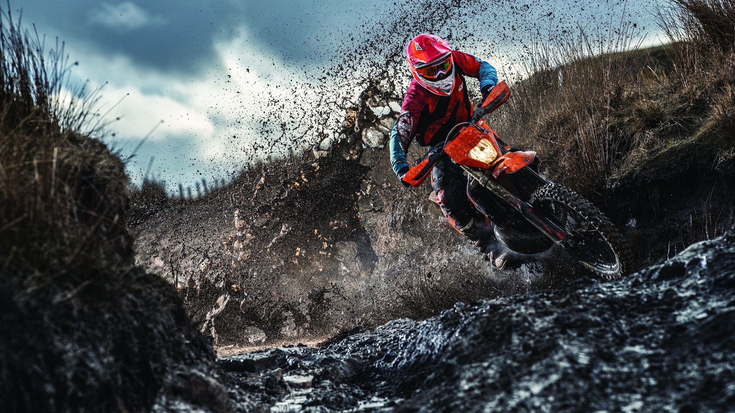 赛场上的明星风采：车手专访，明星职业赛车手